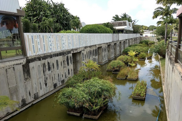 Foto 1 Hospital SARAH