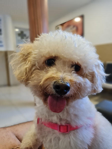 Foto 2 Hospital Veterinário Univet