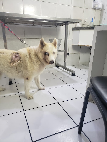 Foto 3 Hospital Veterinário Univet