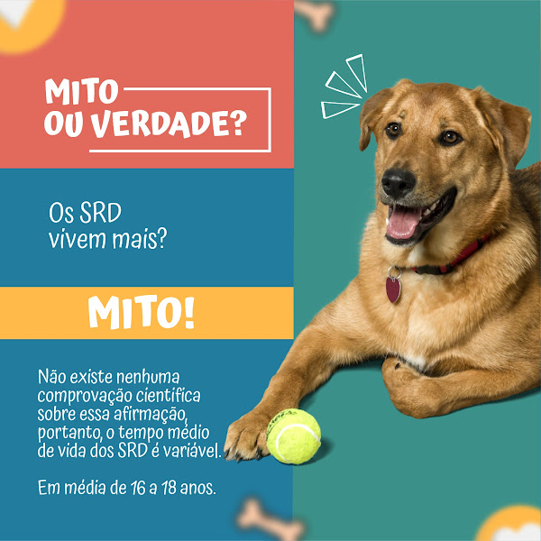 Foto 2 Hospital Veterinário Vetworld 24horas