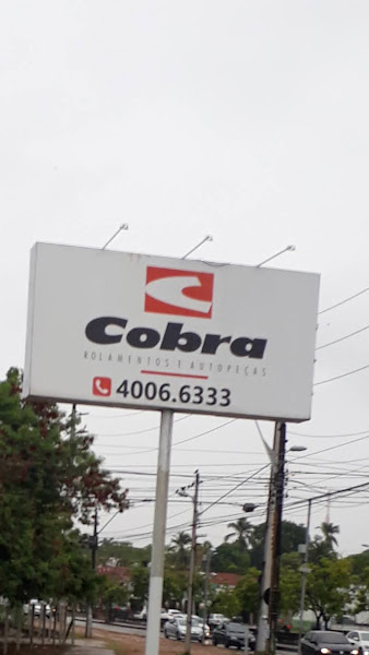 Foto 1 Cobra Rolamentos e Autopeças