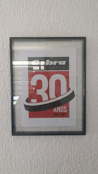 Foto 2 Cobra Rolamentos e Autopeças