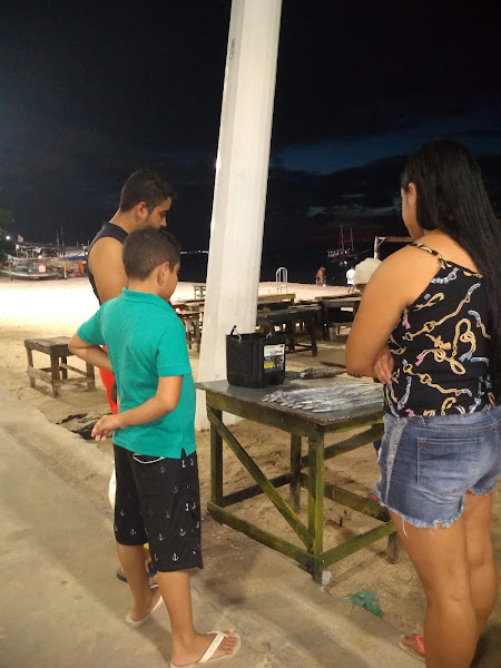 Foto 3 Auto Elétrica Manuel