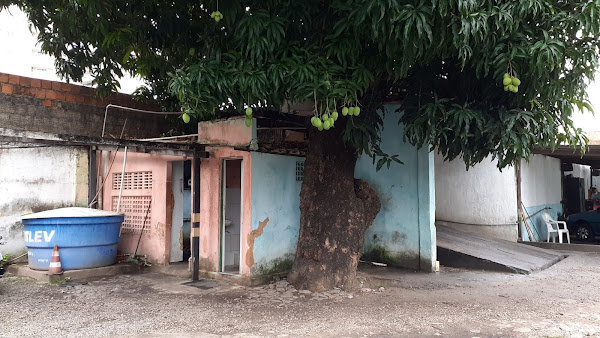 Foto 3 Lava Jato Green Park