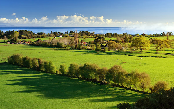 Organização Gonçalves Ltda