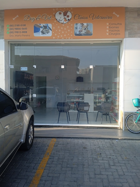 Clínica Veterinária - Dog Vet