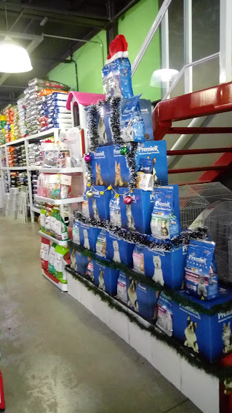 Foto 3 Clínica Zoovet