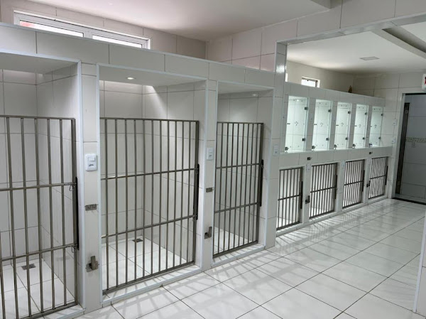 Vetlife Clínica Veterinária 24 Horas