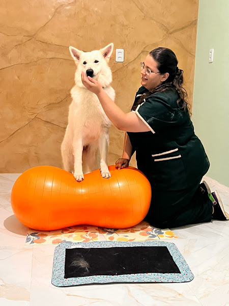 Foto 2 Vetlife Clínica Veterinária 24 Horas