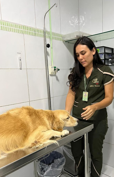 Foto 4 Vetlife Clínica Veterinária 24 Horas