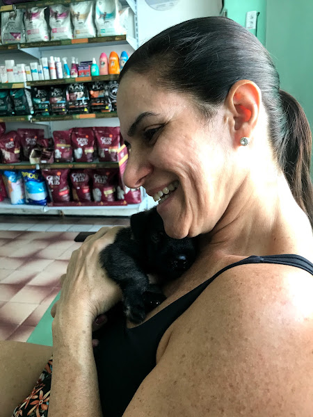 Foto 2 Pronto Socorro Veterinário