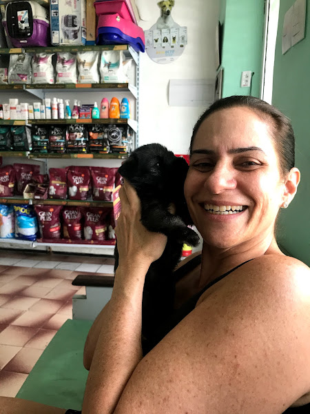 Foto 3 Pronto Socorro Veterinário