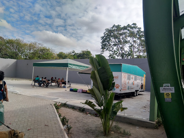 Clínica Veterinária de Fortaleza - Jacó