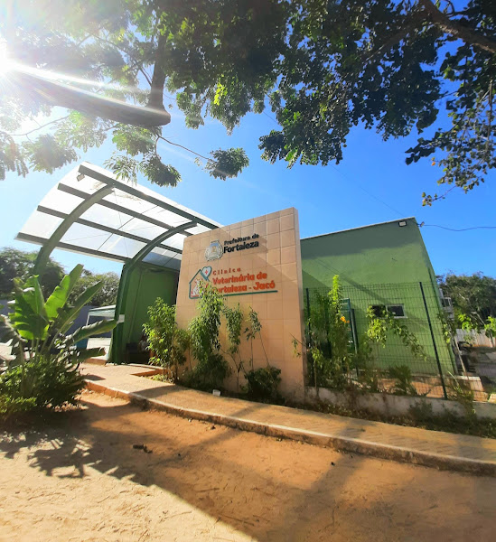 Foto 3 Clínica Veterinária de Fortaleza - Jacó