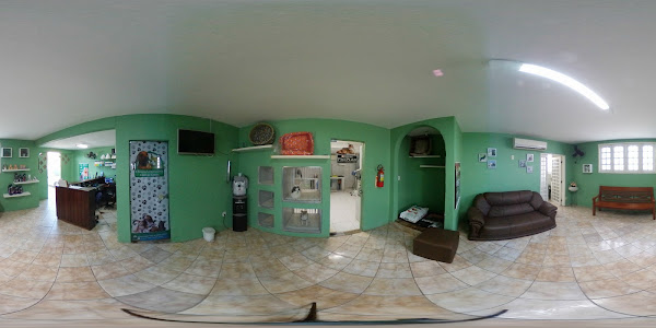 Foto 1 Clínica Veterinária Cães & Gatos