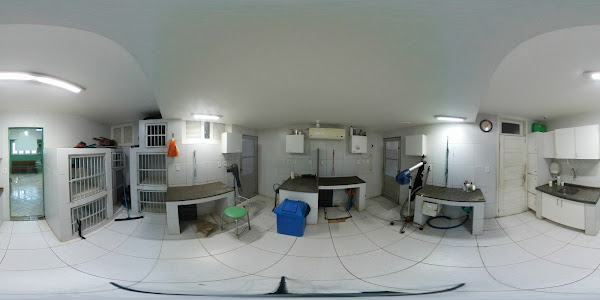 Foto 2 Clínica Veterinária Cães & Gatos