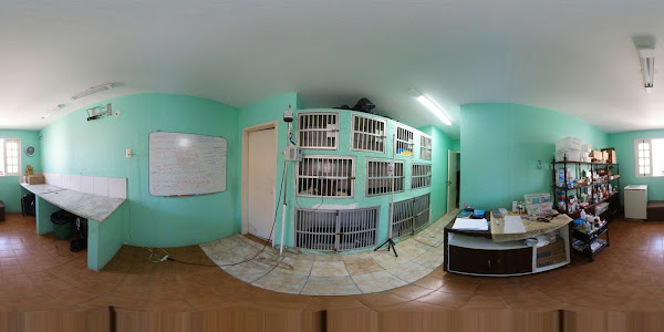 Foto 3 Clínica Veterinária Cães & Gatos