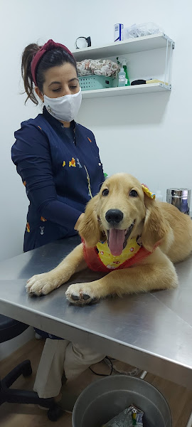 Foto 4 Clínica Veterinária Garra - 24 horas