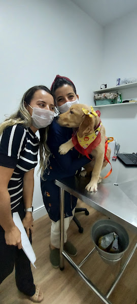 Foto 5 Clínica Veterinária Garra - 24 horas