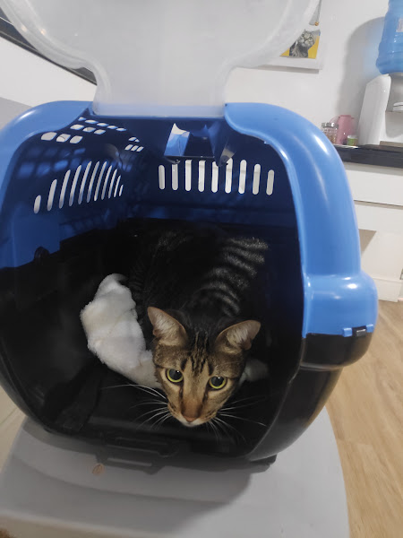 Foto 6 Clínica Veterinária Garra - 24 horas