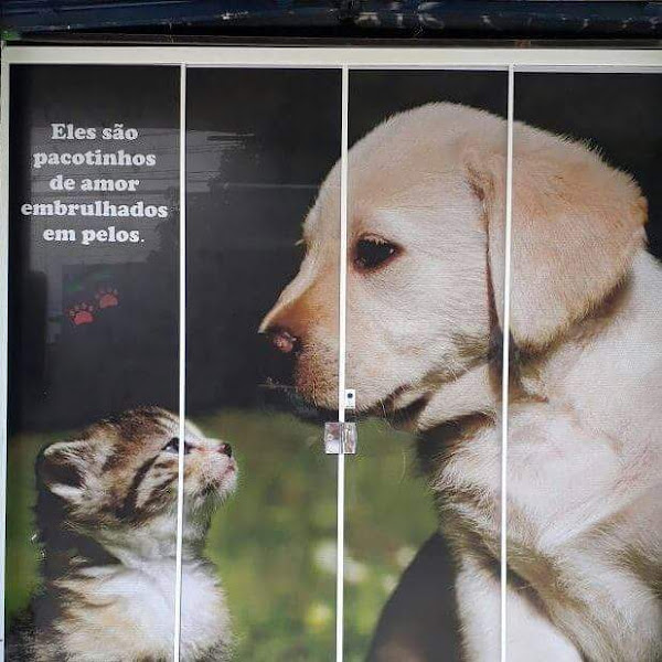 Santa Helena Veterinária