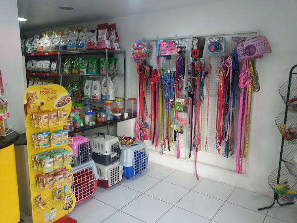 Foto 2 Medicão Clínica Veterinária Oncologica e Oftalmo 24 hs