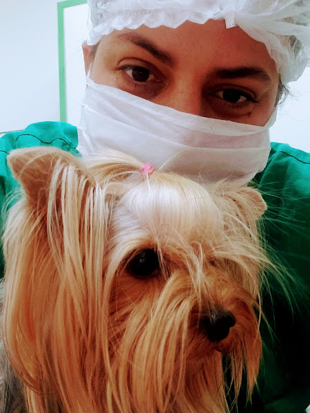 Foto 2 Clínica Veterinária VetSmile