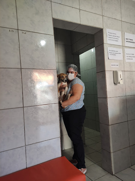 Clínica Veterinária Vira-Lata Clínica Veterinária Vira-Lata