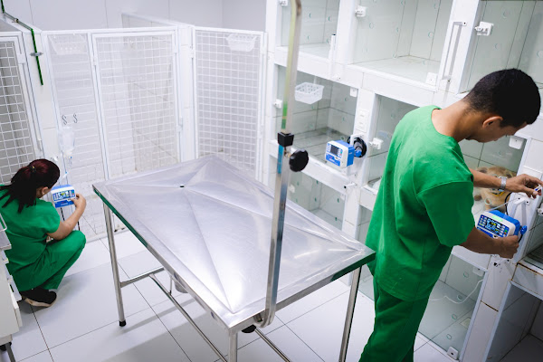 Foto 3 Hospital Veterinário PetSanus