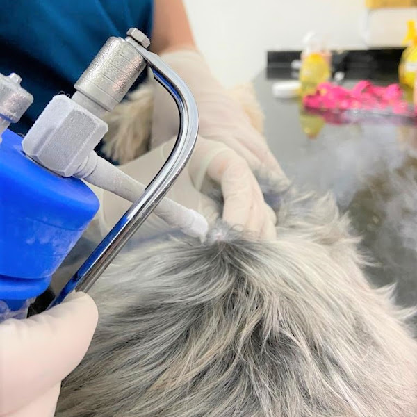 Foto 3 Cinvet Hospital Veterinário 24 Horas