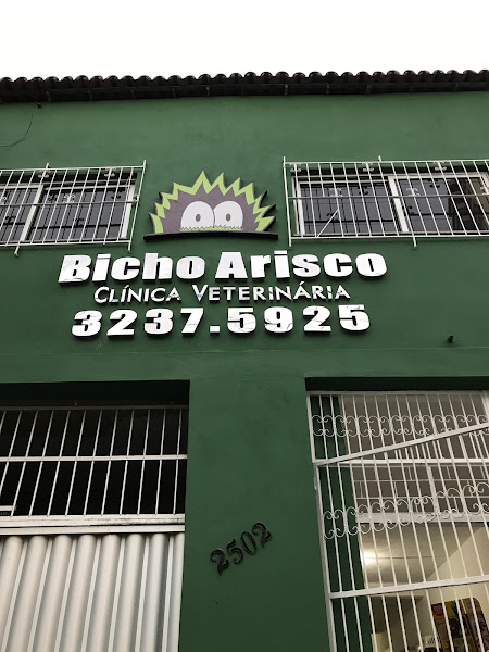 Foto 4 Bicho Arisco