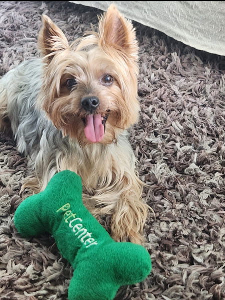 Foto 3 Clínica Veterinária Pet Center Foto 3 Clínica Veterinária Pet Center