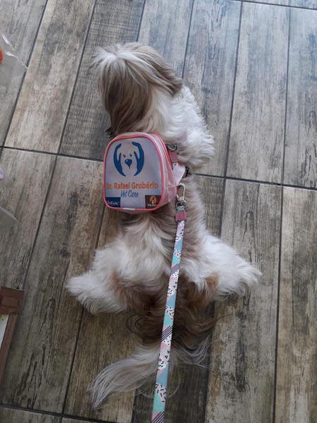 Foto 2 Dr. Rafael Groberio - Vet Care