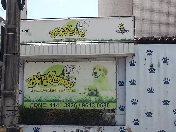 Clínica Veterinária Bicho Cheiroso