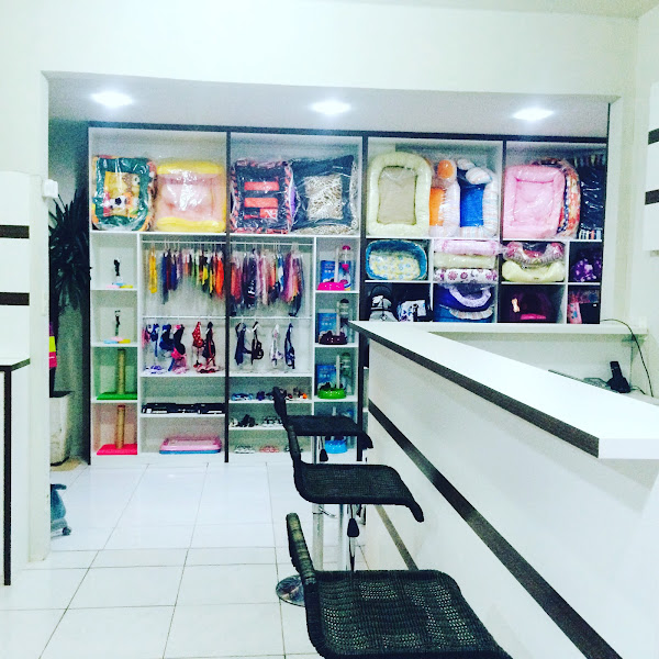 Mania de Cachorro Conceito