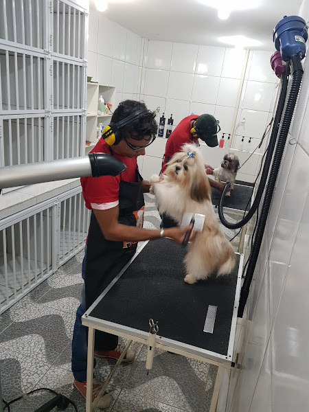 Foto 3 Mania de Cachorro Conceito