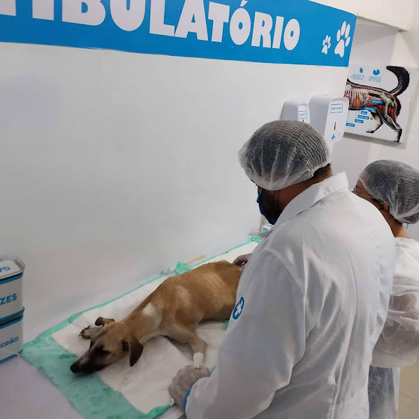 Foto 1 Pet Master Saúde Animal