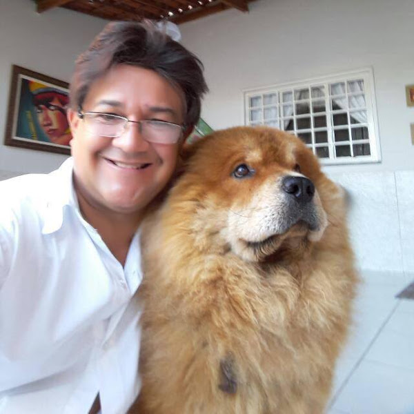 Newdog Clinica veterinária e Petshop