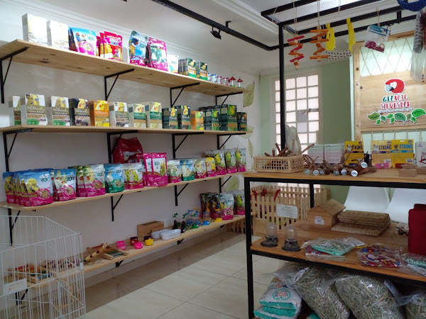 Foto 1 Geração Silvestre