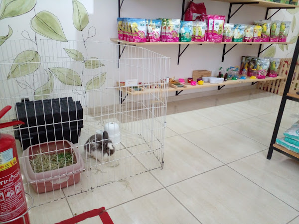 Foto 3 Geração Silvestre Foto 3 Geração Silvestre