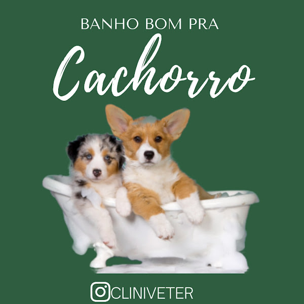 Foto 1 Clínica Veterinária Cliniveter