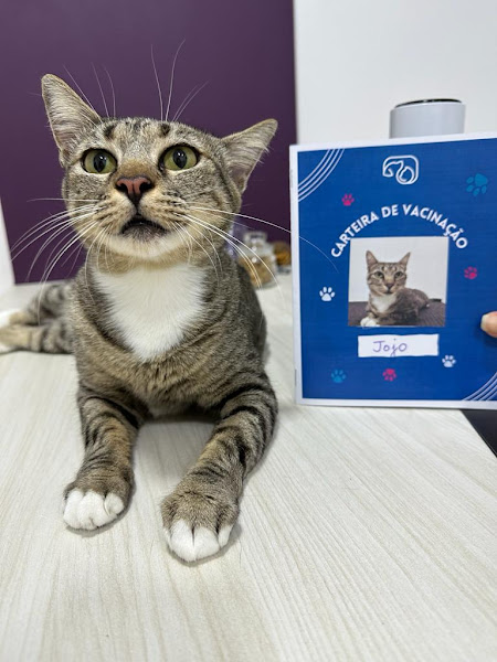 Foto 1 Clinica Veterinária ForPets (ClinForpets)