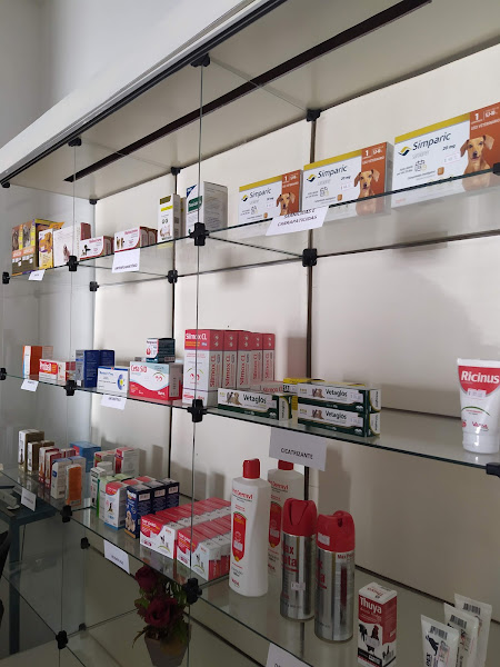 Foto 1 Animal Clinic
