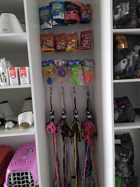 Foto 2 Animal Clinic