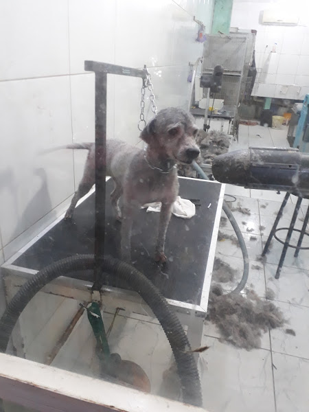 Foto 3 Pet Center Paranjana