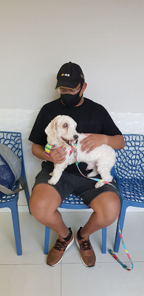 Foto 1 Dra Silvana Cavalcante Gonçalves