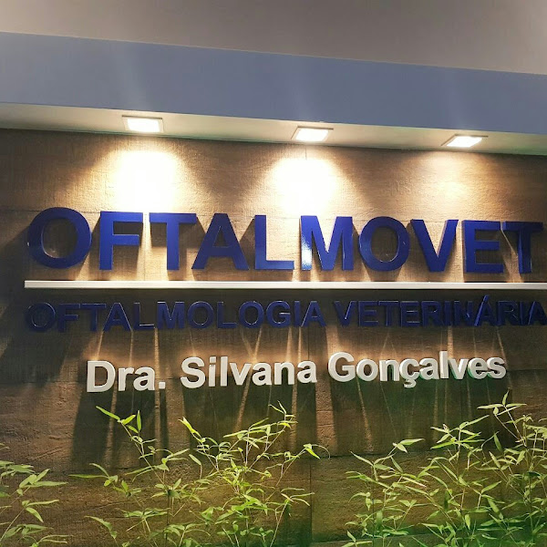 Foto 2 Dra Silvana Cavalcante Gonçalves