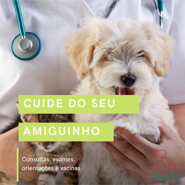 Foto 2 Pet Sol Foto 2 Pet Sol