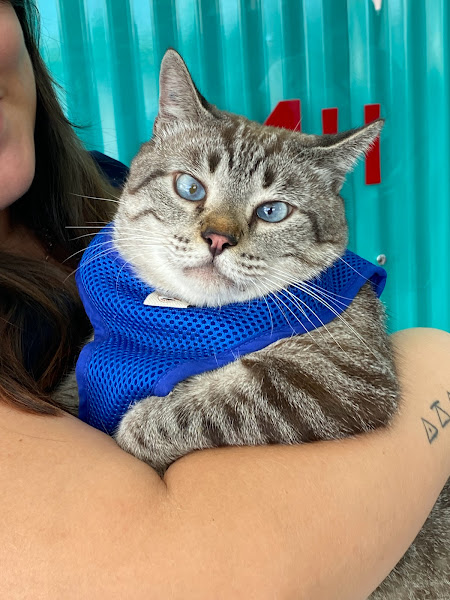 Foto 1 Vetdoctor Hospital Veterinário