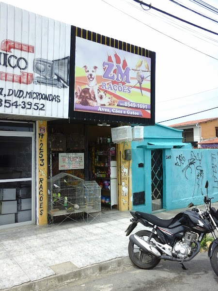 Foto 3 Paiva Pet Clinic Foto 3 Paiva Pet Clinic